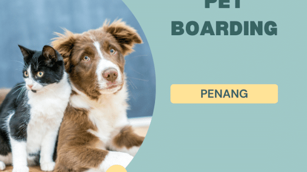 Pet Boarding