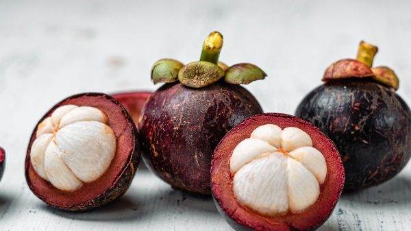 Exotic fruits of Malaysia