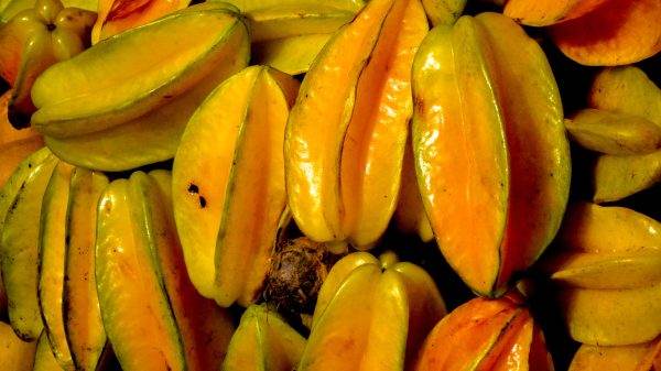 Exotic fruits of Malaysia